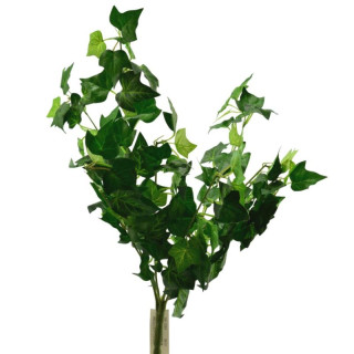 Gałązka ozdobna Bluszcz 50cm 09.1281